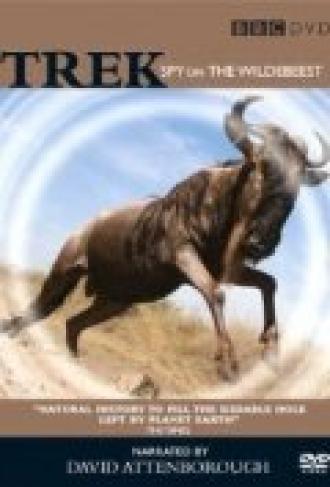 Trek: Spy on the Wildebeest (фильм 2007)