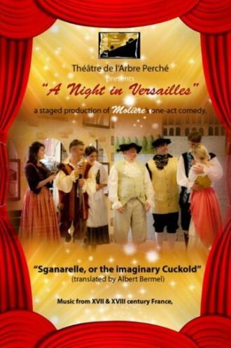 Sganarelle, or The Imaginary Cuckold (фильм 2010)