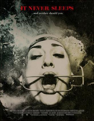 It Never Sleeps (фильм 2014)