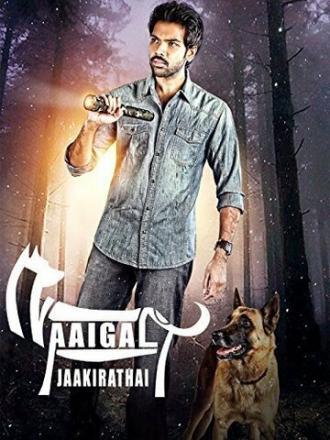 Берегитесь собак (фильм 2014)