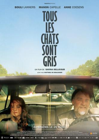 Tous les chats sont gris (фильм 2014)