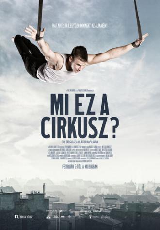 Mi ez a cirkusz? (фильм 2017)