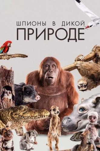 Шпионы в дикой природе (сериал 2017)