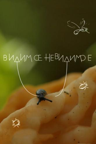 Видимое невидимое