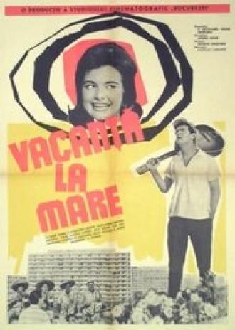 Отдых у моря (фильм 1963)