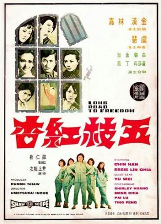 Долгая дорога к свободе (фильм 1971)