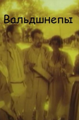 Вальдшнепы (фильм 1996)