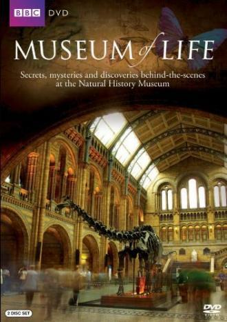 Museum of Life (сериал 2010)