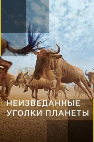 Неизведанные уголки планеты