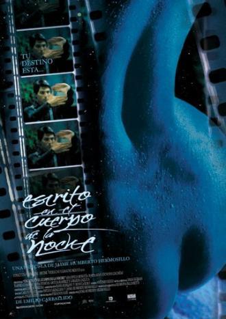Написанное на теле ночи (фильм 2001)