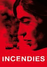Пожары (2010)