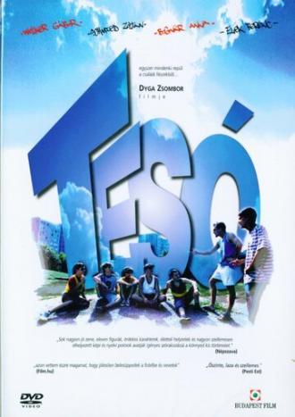 Браток (фильм 2003)