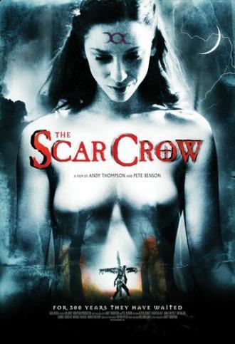 Раненый ворон (фильм 2009)