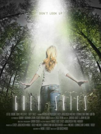 Серые небеса (фильм 2010)
