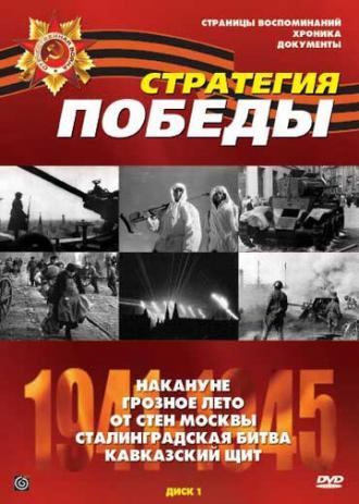 Стратегия победы (сериал 1984)