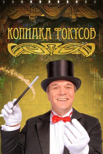 Копилка фокусов (сериал 2010)