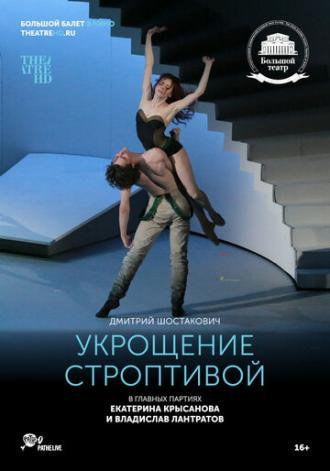 Укрощение строптивой (фильм 2015)