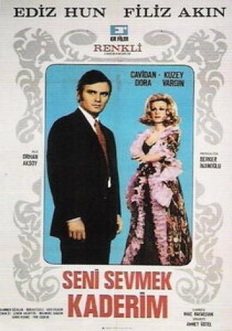 Моя любовь — твоя судьба (фильм 1970)