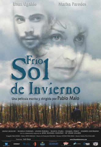 Холодное зимнее солнце (фильм 2004)