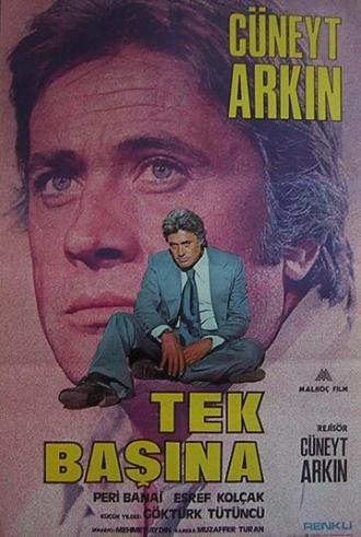 В одиночку (фильм 1976)