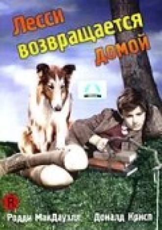 Лесси возвращается домой (фильм 1943)