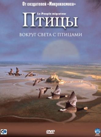 Птицы (фильм 2001)