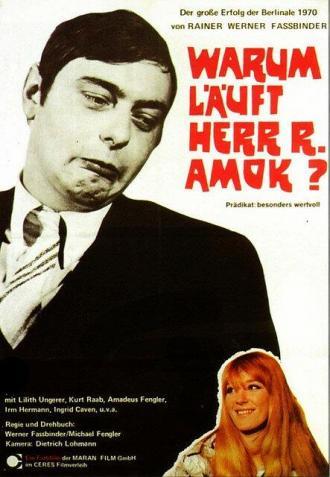 Почему рехнулся господин Р? (фильм 1970)