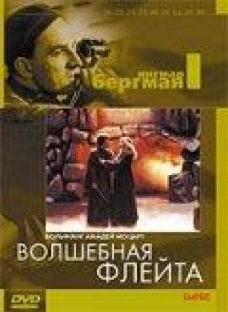 Волшебная флейта (фильм 1975)