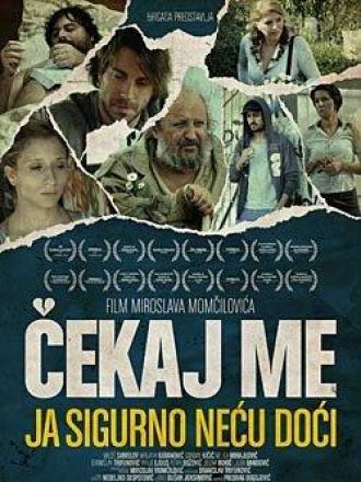 Жди меня, я точно не приду (фильм 2009)