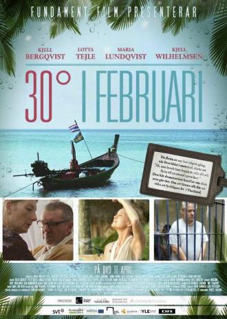 30 градусов в феврале (сериал 2012)