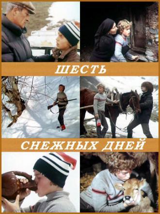 Шесть снежных дней (фильм 1986)