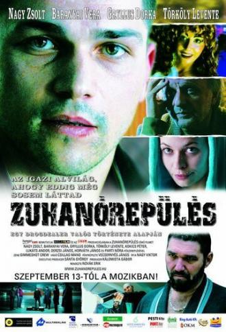 Пикирующий полёт (фильм 2007)