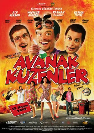 Бестолковые кузены (фильм 2008)