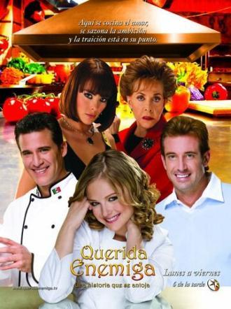 Дорогой враг (сериал 2008)