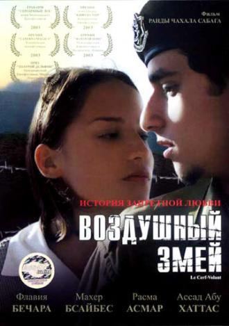 Воздушный змей (фильм 2003)