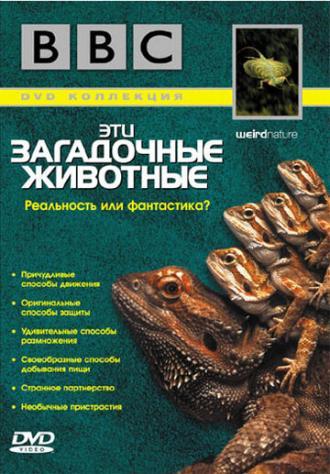 BBC: Эти загадочные животные (сериал 2002)