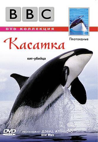 BBC: Касатка (фильм 2003)