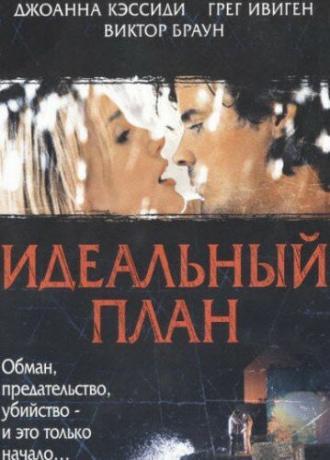Идеальный план (фильм 2005)