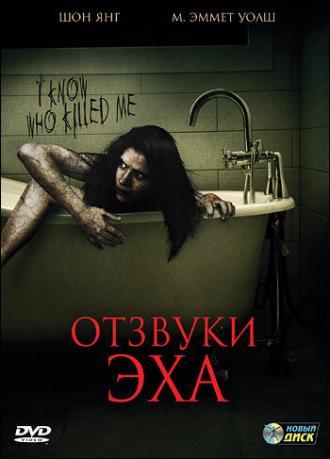 Отзвуки эха (фильм 2008)