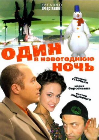 Один в новогоднюю ночь (фильм 2006)