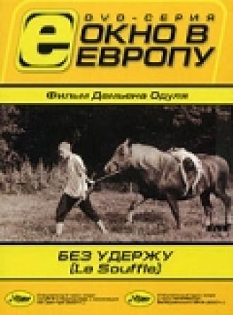 Без удержу (фильм 2001)
