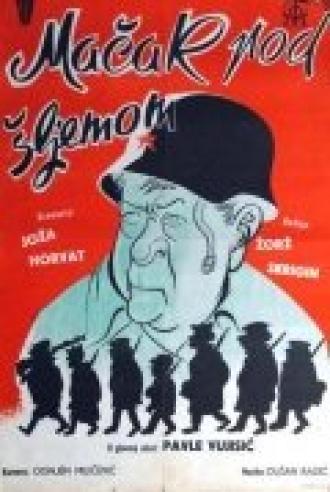 Кот под шлемом (фильм 1962)