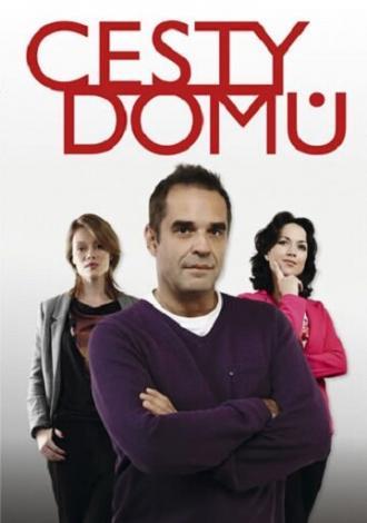 Дорога домой (сериал 2010)