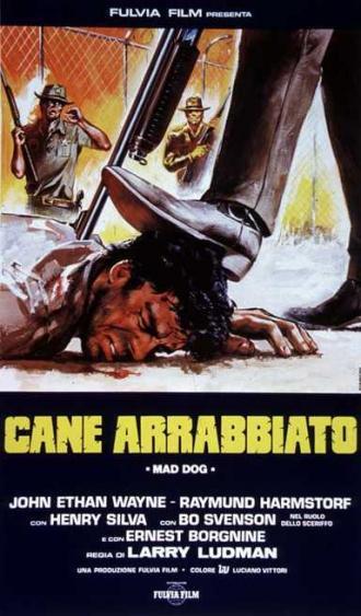 Cane arrabbiato (фильм 1984)