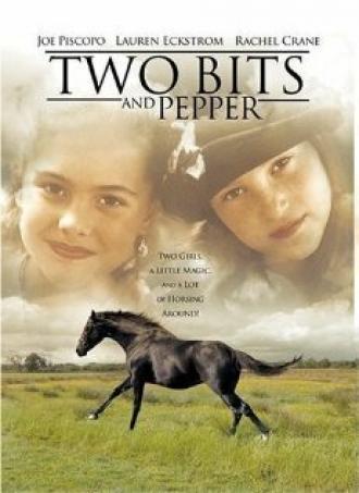 Коротышка и Огненный (фильм 1995)
