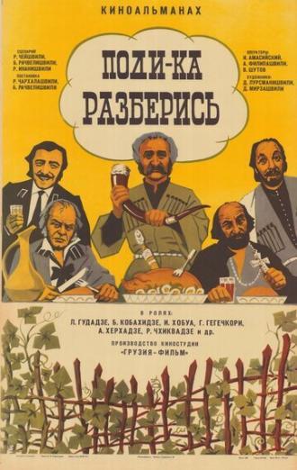 Поди-ка разберись (фильм 1976)