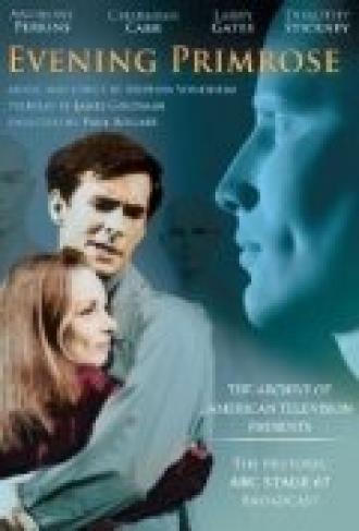 Вечерний первоцвет (фильм 1966)