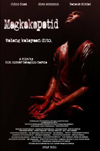 Братья (фильм 2010)