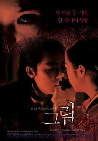 Воскрешение бабочки (фильм 2007)