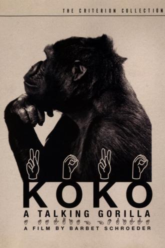 Коко, говорящая горилла
